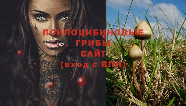 амф Остров