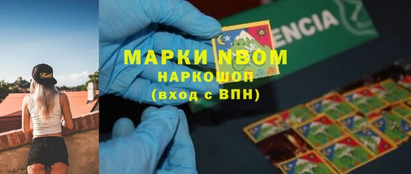 СК Осинники