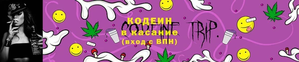 СК Осинники