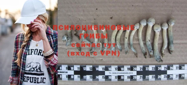 амф Остров