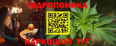 прущие грибы Ипатово