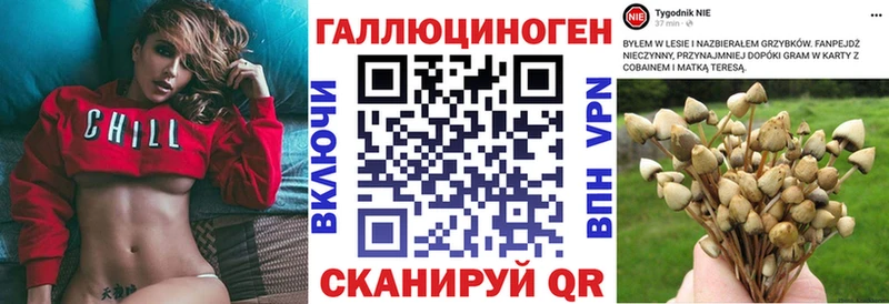 Галлюциногенные грибы мухоморы  ссылка на мегу сайт  Южно-Сахалинск 